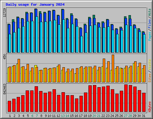 Daily usage for January 2024