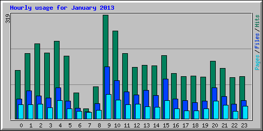 Hourly usage for January 2013