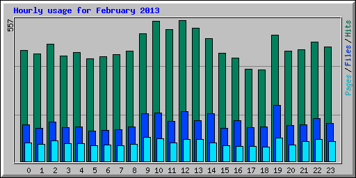 Hourly usage for February 2013