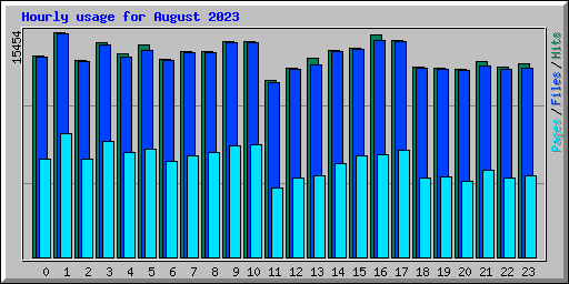 Hourly usage for August 2023