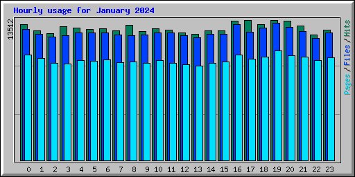 Hourly usage for January 2024