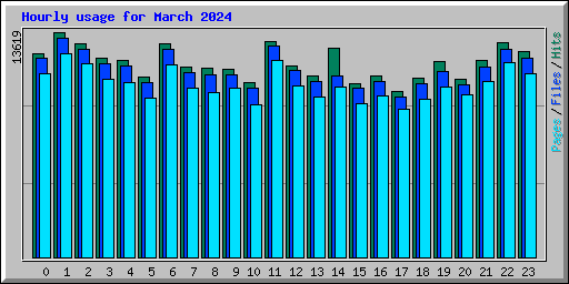 Hourly usage for March 2024