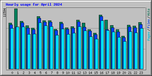 Hourly usage for April 2024