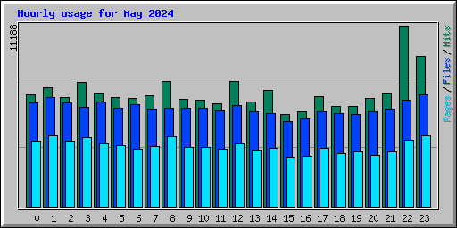 Hourly usage for May 2024