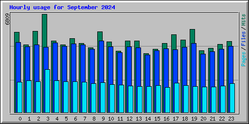 Hourly usage for September 2024