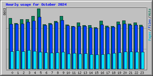 Hourly usage for October 2024