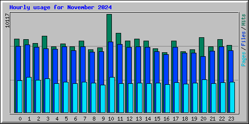 Hourly usage for November 2024