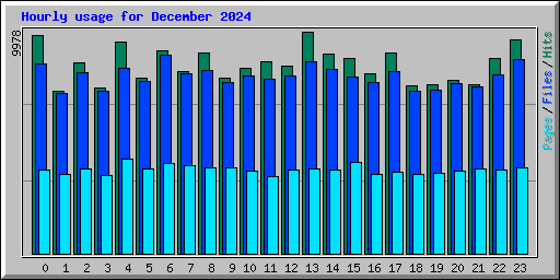 Hourly usage for December 2024