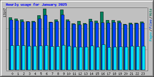 Hourly usage for January 2025