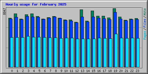 Hourly usage for February 2025