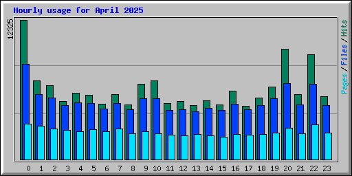 Hourly usage for April 2025