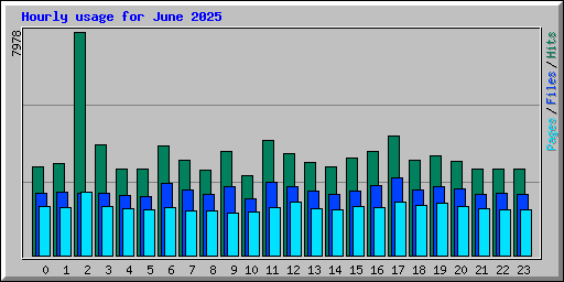 Hourly usage for June 2025