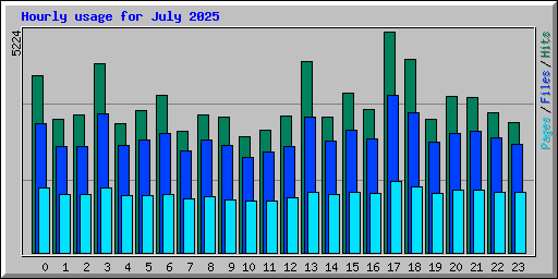 Hourly usage for July 2025