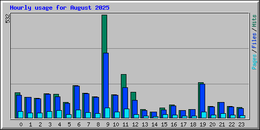 Hourly usage for August 2025