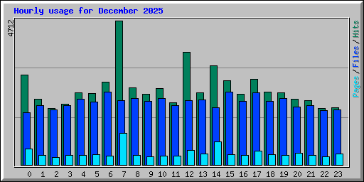 Hourly usage for December 2025