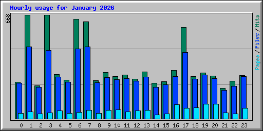 Hourly usage for January 2026